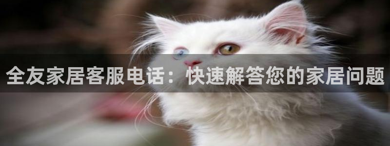 ug环球官网会员