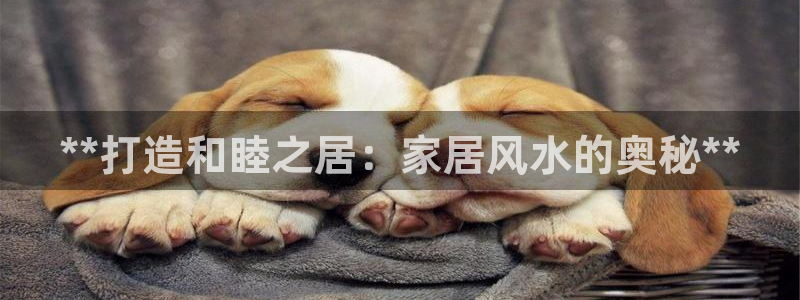 环球ug登录网站 - ug环球会员登录