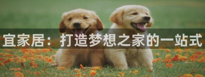 uG环球网站