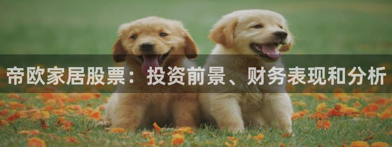 ug环球视讯官网网址