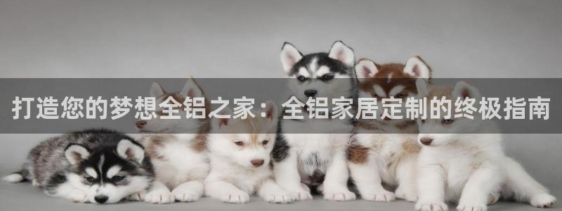 ug环球代理平台官网