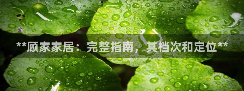 ug环球正网包杀
