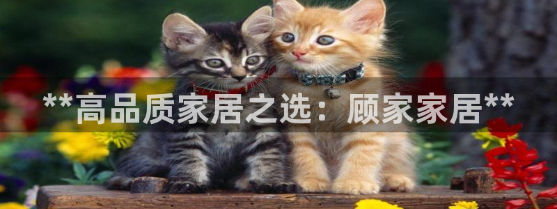 环球ug登录网站app