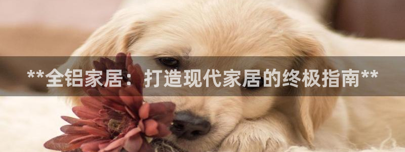 UG环球官方网