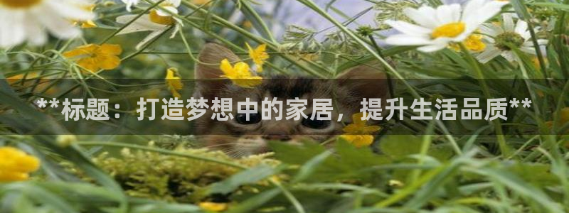 ug环球代理加盟