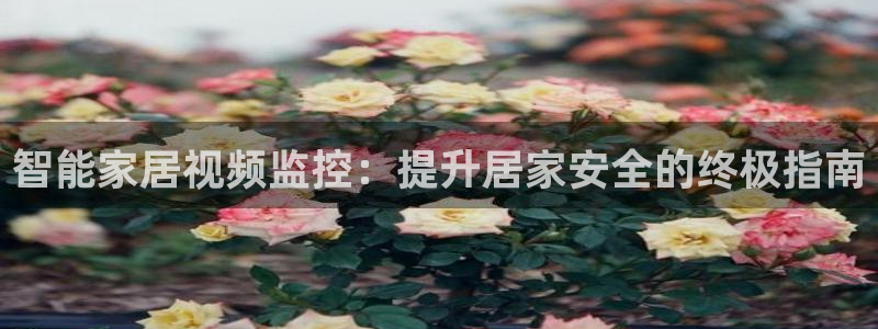 ug环球官网登录