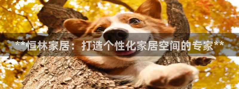 UG环球1比一