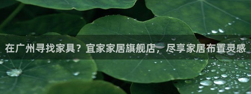 ug环球会员手机版下载