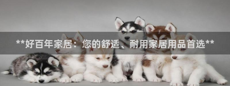 ug环球国际360
