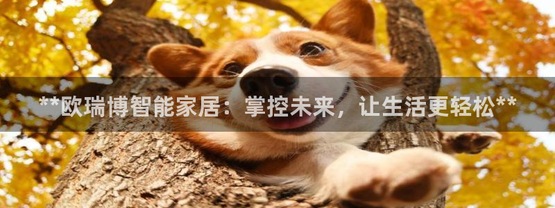 Ug环球私网一比一