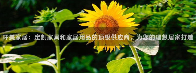 ug环球网站