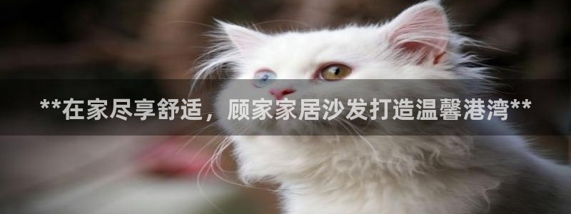 ug环球找唯xkk 908