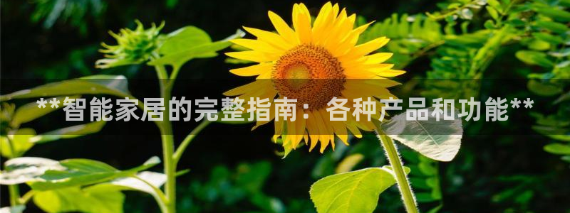 ug环球视讯官网