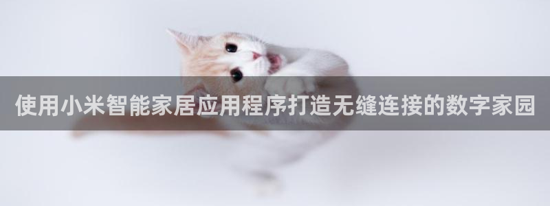 ug环球买代理