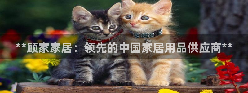 环球ug包杀网一比一