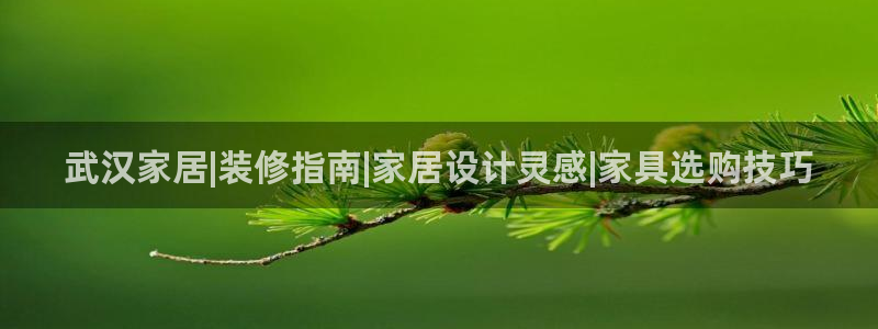 ug环球视讯官网登录入口