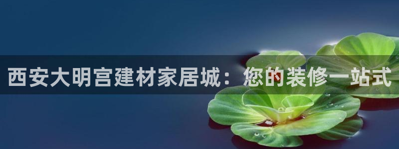 ug环球密码重置是多少位数啊