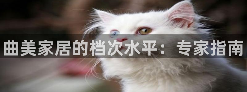ug环球国际360