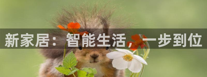 ug环球官网入口