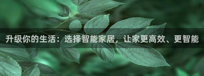 UG环球假网合作