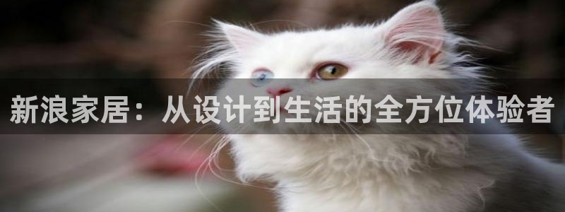 ug环球会员官方客服电话