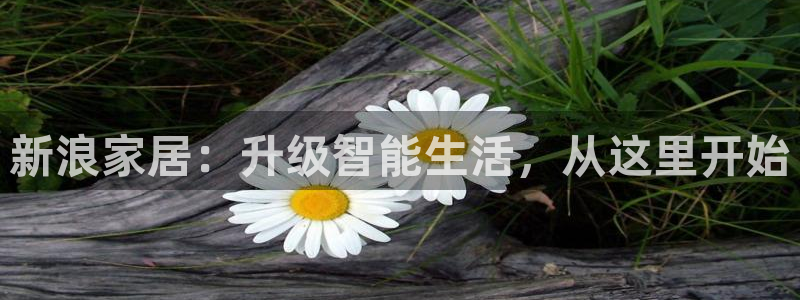 UG环球国际在线
