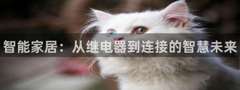 ug环球xkk908搜徽