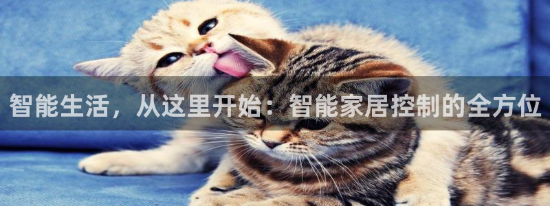 ug环球假网一比一人才