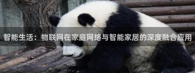 ug环球密码重置是多少位数