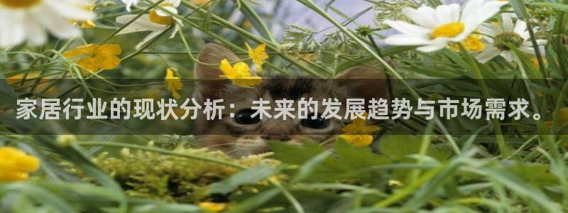 UG环球网一比一