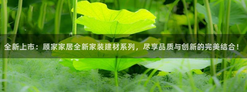ug环球密码重置是多少位数