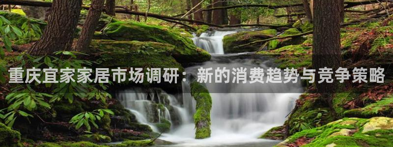 ug环球国际买分
