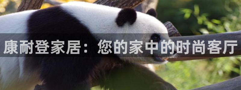 ug环球买分卖分
