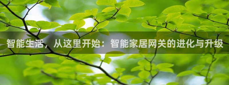 ug环球官网登录入口