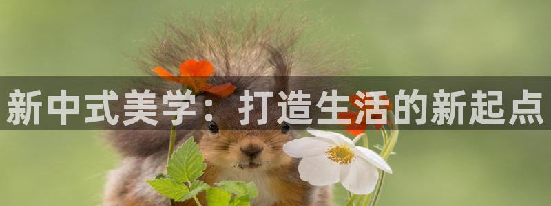 ug环球正网包杀