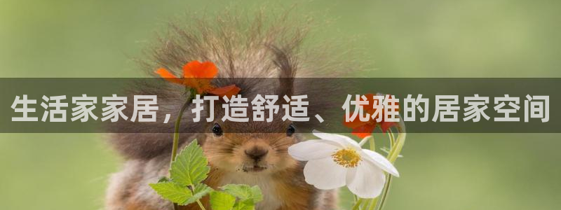 ug环球会员网站登录