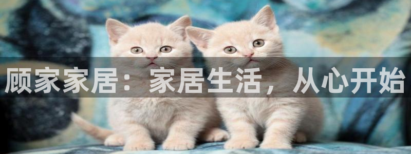 ug环球会员登录