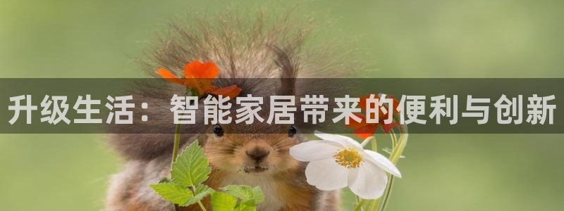 环球ug官网会员注册