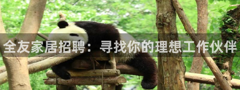 ug环球假网一比一