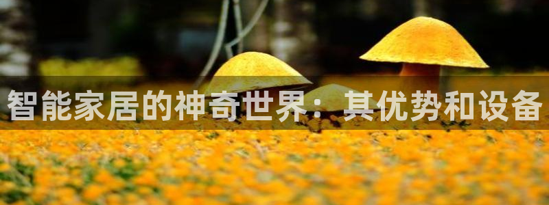 环球ug登录网站