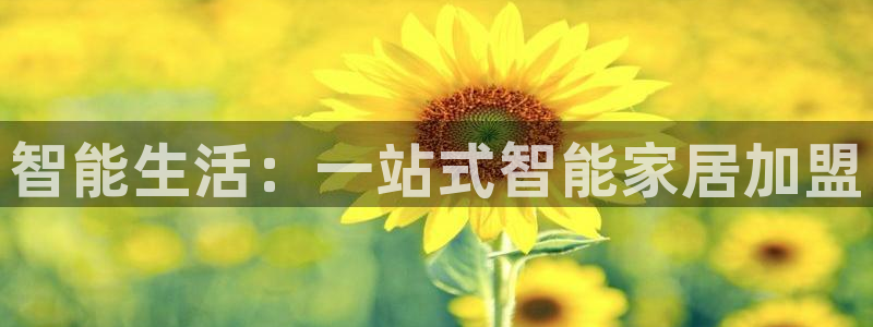 ug环球视讯充值：智能生活：一站式智能家