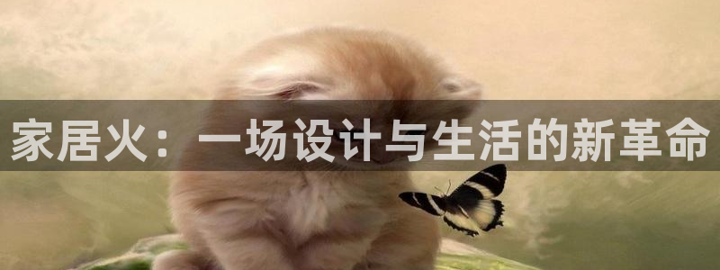 ug环球国际买分